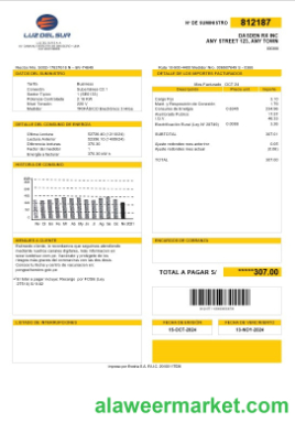 Peru Luz de Sur business utility bill template in Word and PDF formats, fully editable